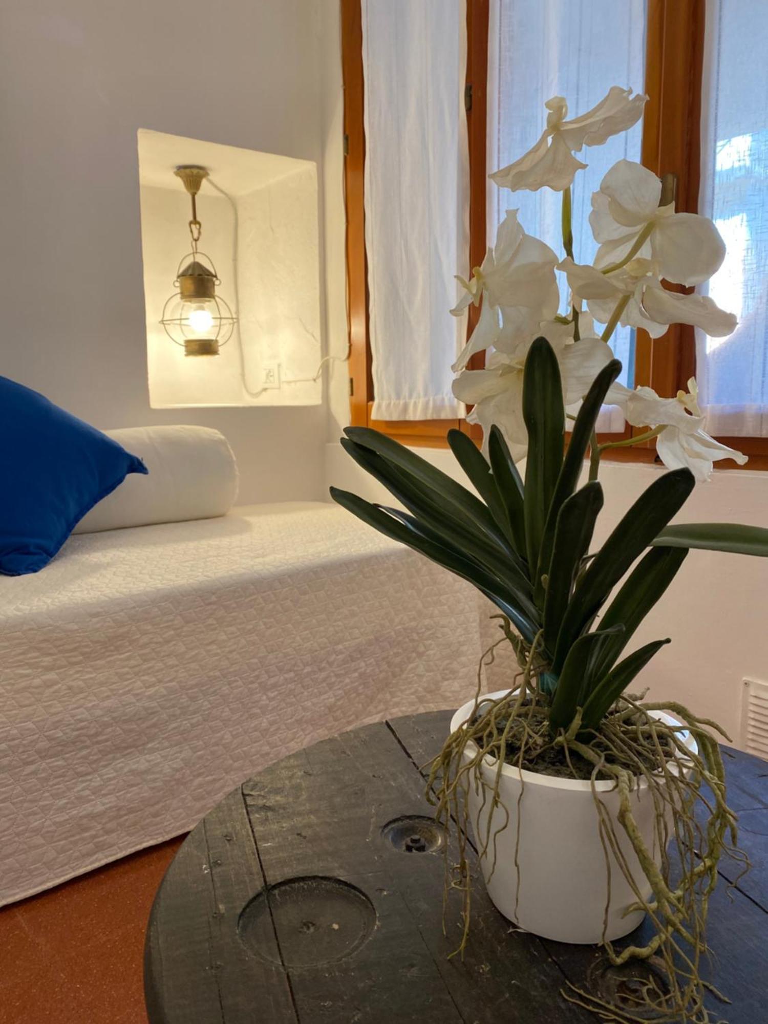 La Verde Di Vernazza - Art Studio - Ac&Wifi - Vernazzarentals Exteriér fotografie